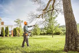 Best Hazardous Tree Removal  in Crestview Hills, KY