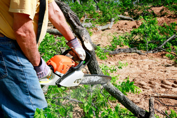 Leaf Removal in Crestview Hills, KY